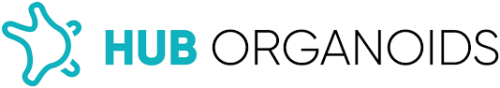 Hub organoids 2