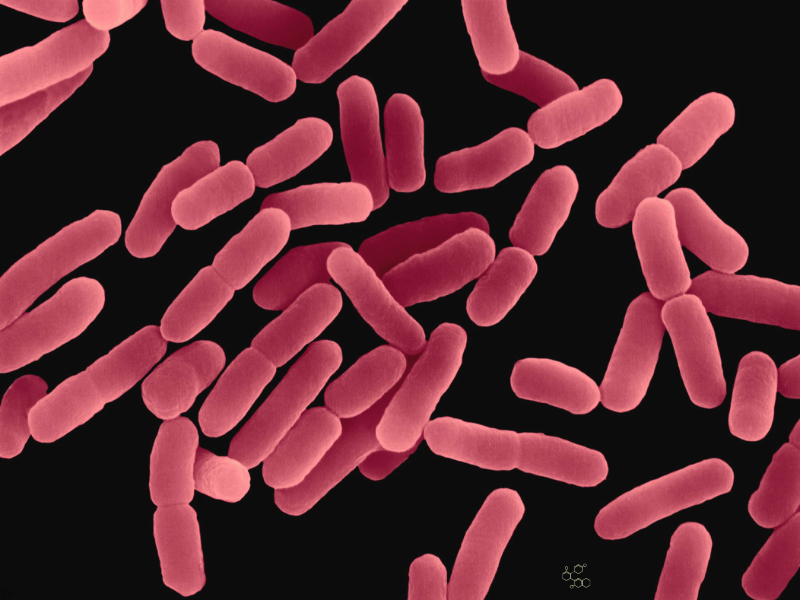 MIT Researchers Use AI to Outsmart Gonorrhoea and MRSA Superbugs