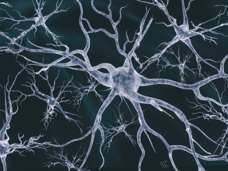 BioArctic’s BrainTransporter Platform Rewrites the Rules of Neurodegeneration Drug Delivery