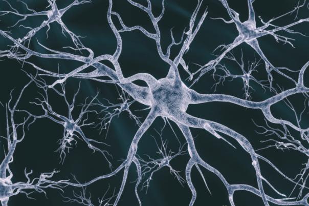 BioArctic’s BrainTransporter Platform Rewrites the Rules of Neurodegeneration Drug Delivery