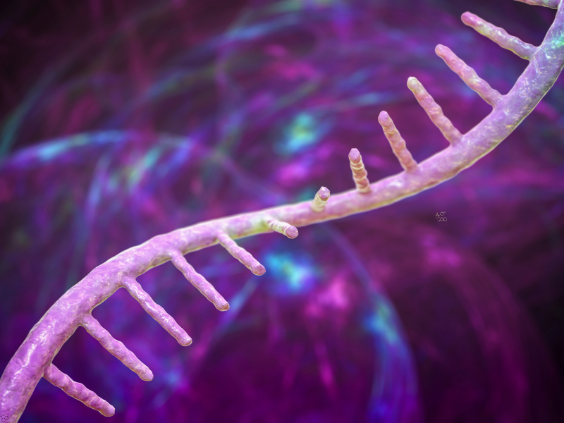 New AI Tool Maps Viral RNA in 3D at Molecular Level