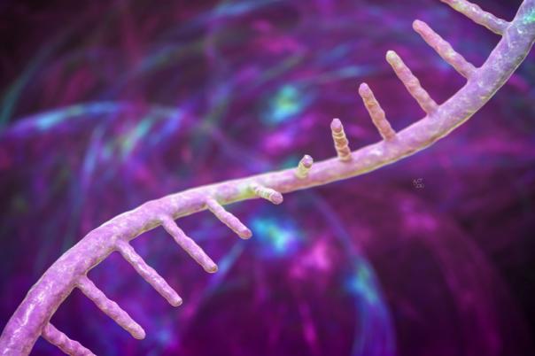New AI Tool Maps Viral RNA in 3D at Molecular Level