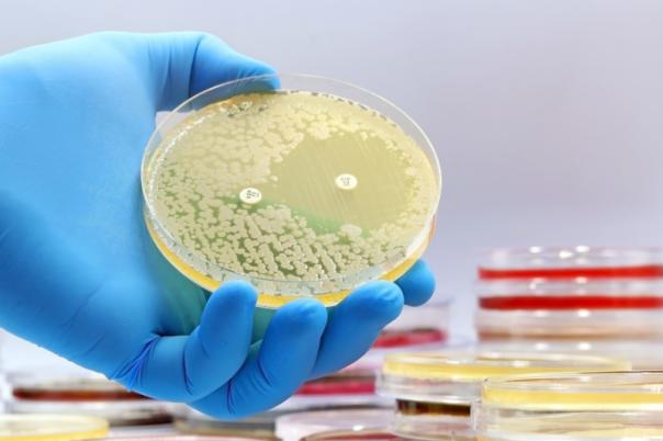 GSK and Fleming Initiative Scientists Team Up to Tackle AMR with AI