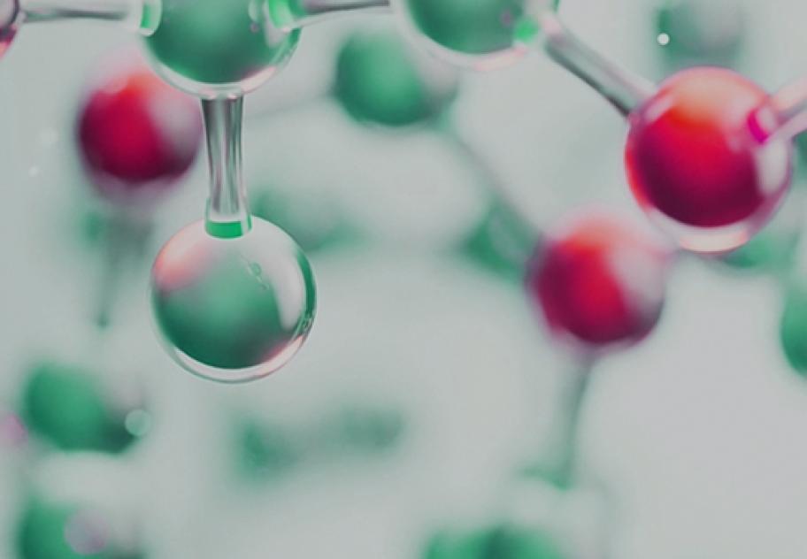 Co-Delivery and Surface Engineering with Sphingomyelin Nanoparticles