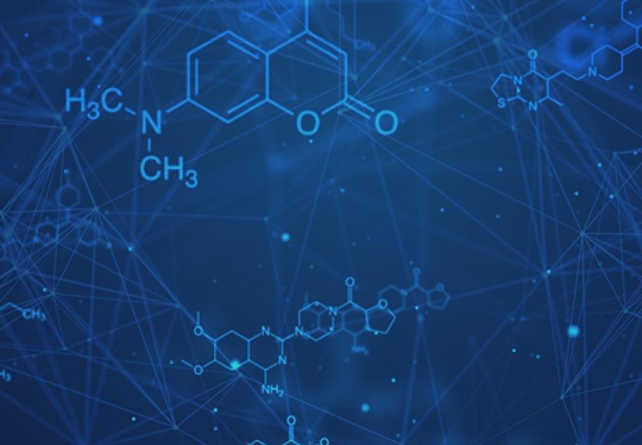Donor to Donor Variability in Pharmacology: Mole Hill Or Mountain?