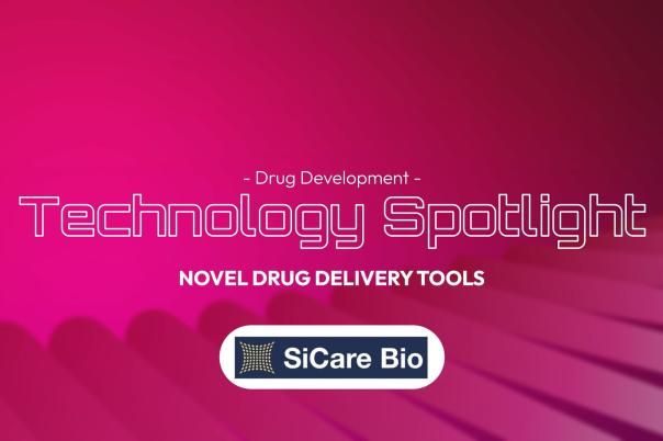 The Power of Nanoporous Silicon Dioxide for the Delivery of Large and Small Molecules