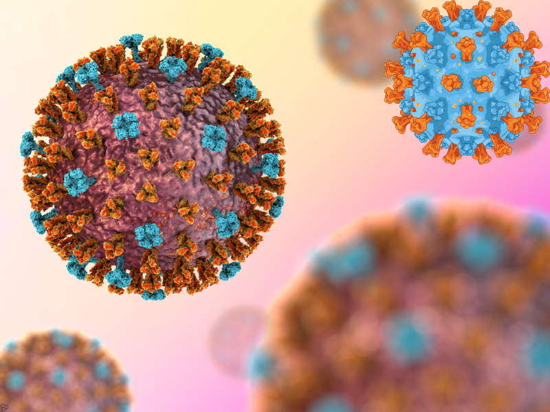 AI and Simulations Reveal a Single Weak Spot in Herpes Virus Fusion