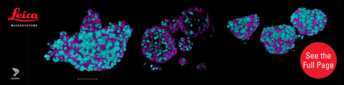 LifeScienceXchange Home Page Banner_MC-0012734