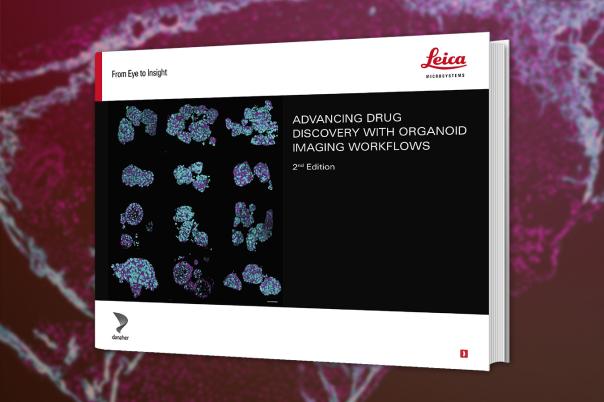 eBook: Advancing Drug Discovery with Organoid Imaging Workflows