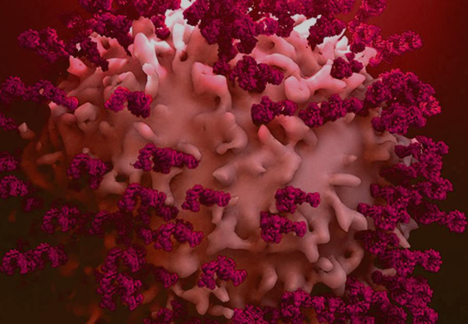 Potential First-In-Class Antibody For Parkinson’s Disease Targeting The Prostaglandin Pathway