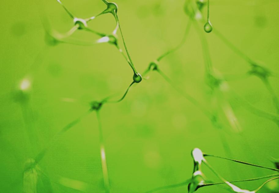 Is The Neurometabolic Approach The Missing Link In Neurodegenerative Disease Treatment?