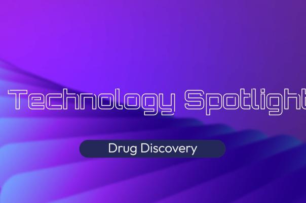 Accelerating Target Validation: Empowering Your High Content Imaging Assays With Stringently Validated Antibodies