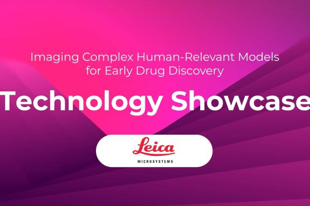 Imaging Complex Human-Relevant Models for Early Drug Discovery