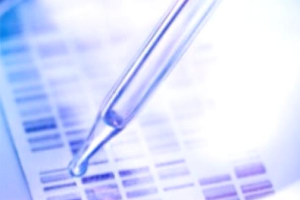 How To Leverage Single Cell To Move Drug Development Forward 